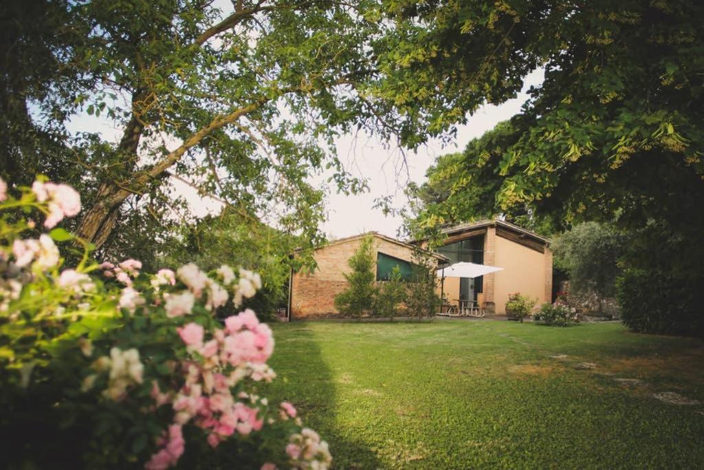 Villa Capannina Vico d'Arbia エクステリア 写真