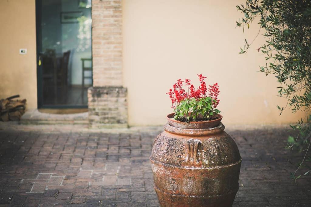 Villa Capannina Vico d'Arbia エクステリア 写真